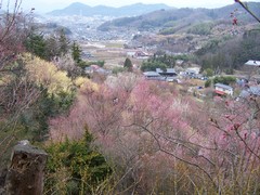 花見山から福島市街