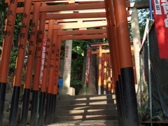 くぐってくぐって