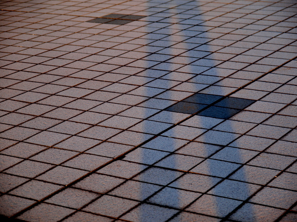 Shadow