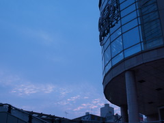 朝