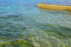 内房の海清し