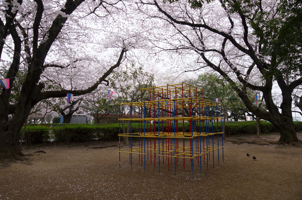 花冷えの公園