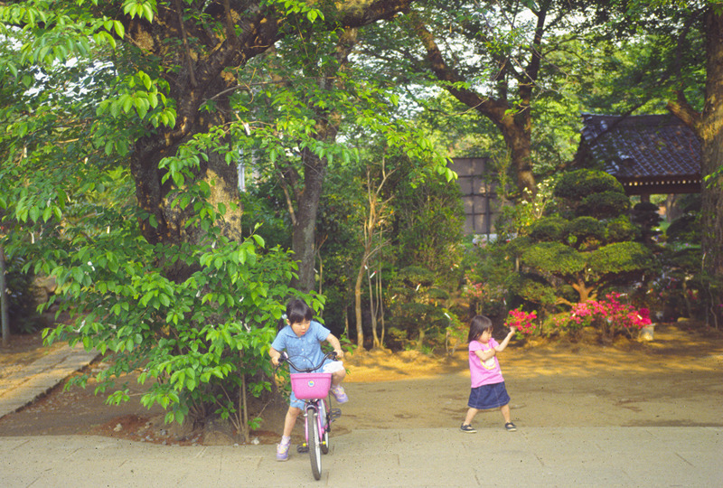 境内が遊び場
