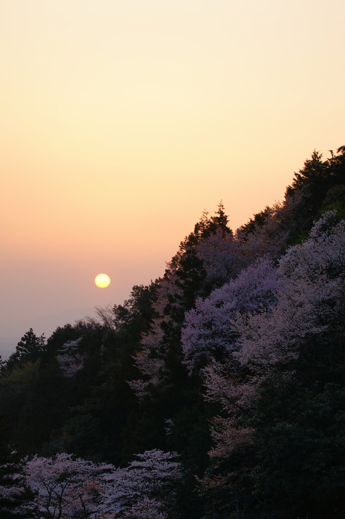 春の夜明け