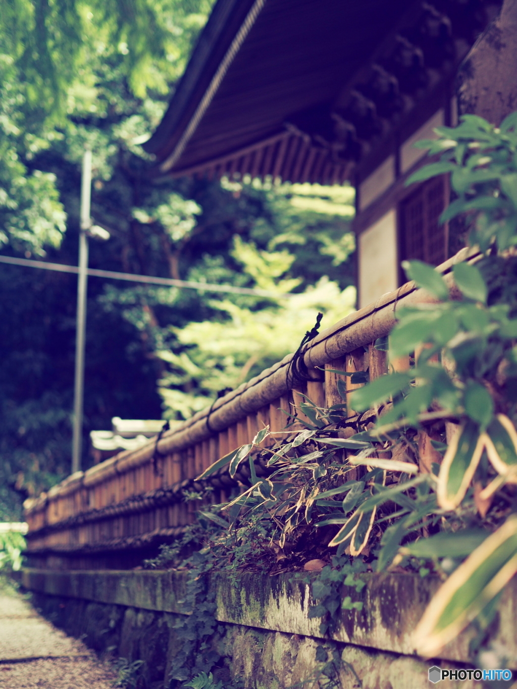 深大寺 周辺にて