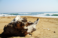 漂流