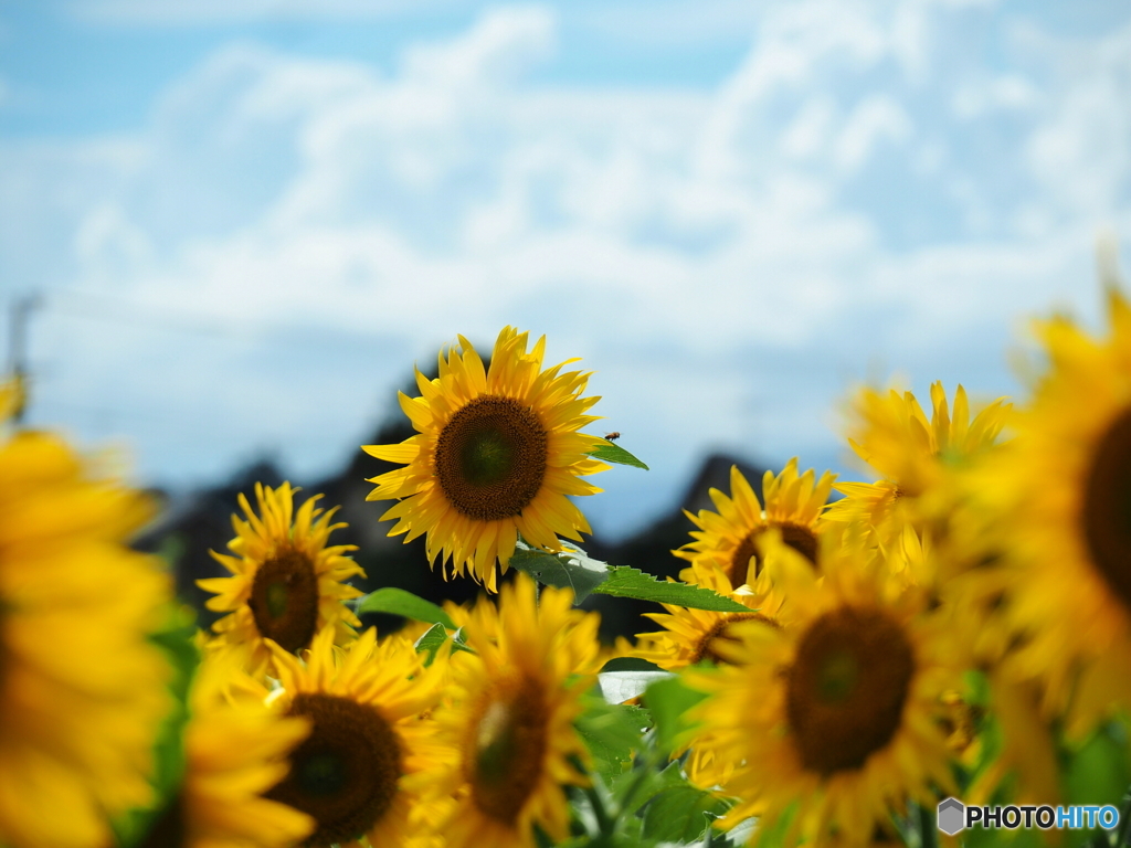 夏の日差し…嬉しそうです。