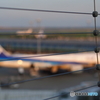 夕陽に照らされて