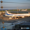 守り役なんですが…。
