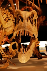 I'm hungry.