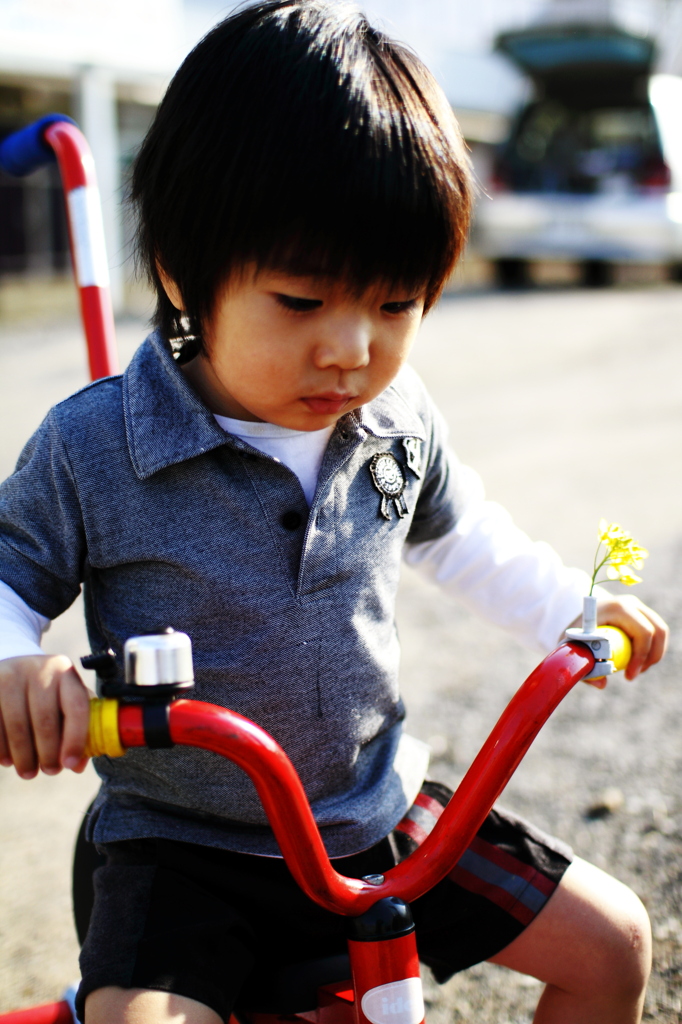 マイカー？でお散歩