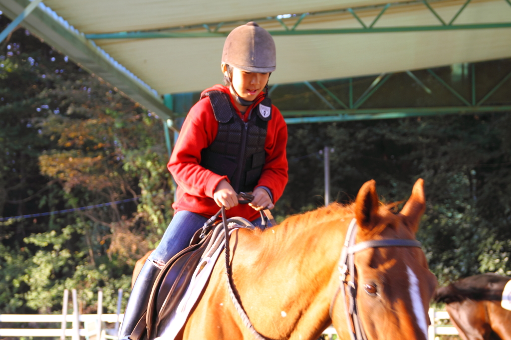 初めての乗馬