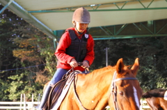 初めての乗馬