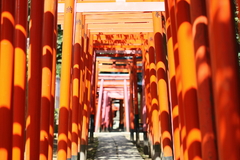 朱