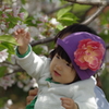 娘３・桜編