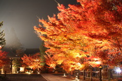 紅い光4