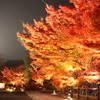 紅い光4
