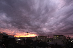 紫の雲