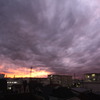 紫の雲