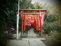 入口