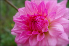 IMGP0536