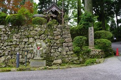 我が道を行く