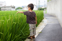 秋遠からじ