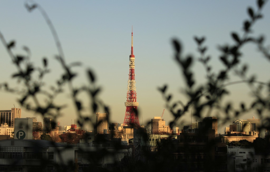 囲われ之東京タワー