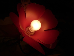 Flower of light