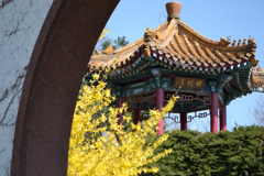 庭園