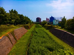 流れの無い  river