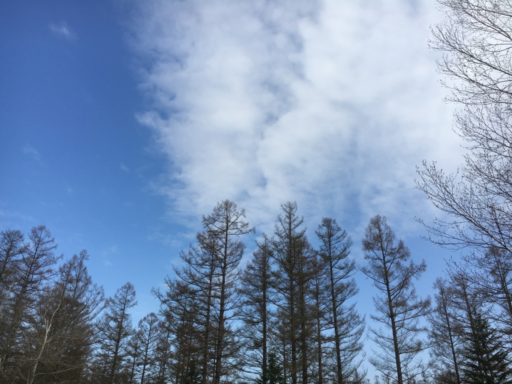 美瑛　道の駅からの空