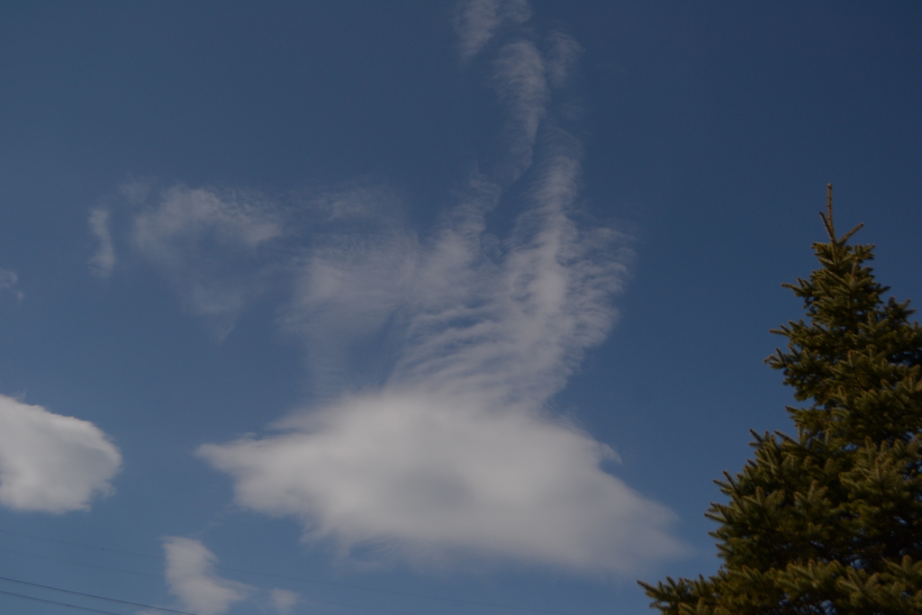 春の空