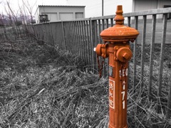 カーマイン