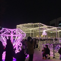 札幌  イルミネーション