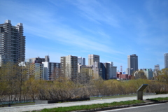 豊平川河川敷