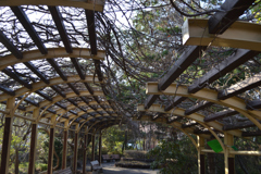トンネル