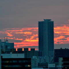 夕日が綺麗だったので