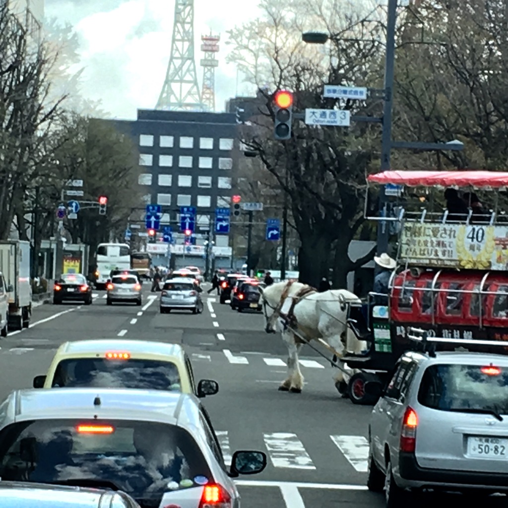 白馬   名前は銀次