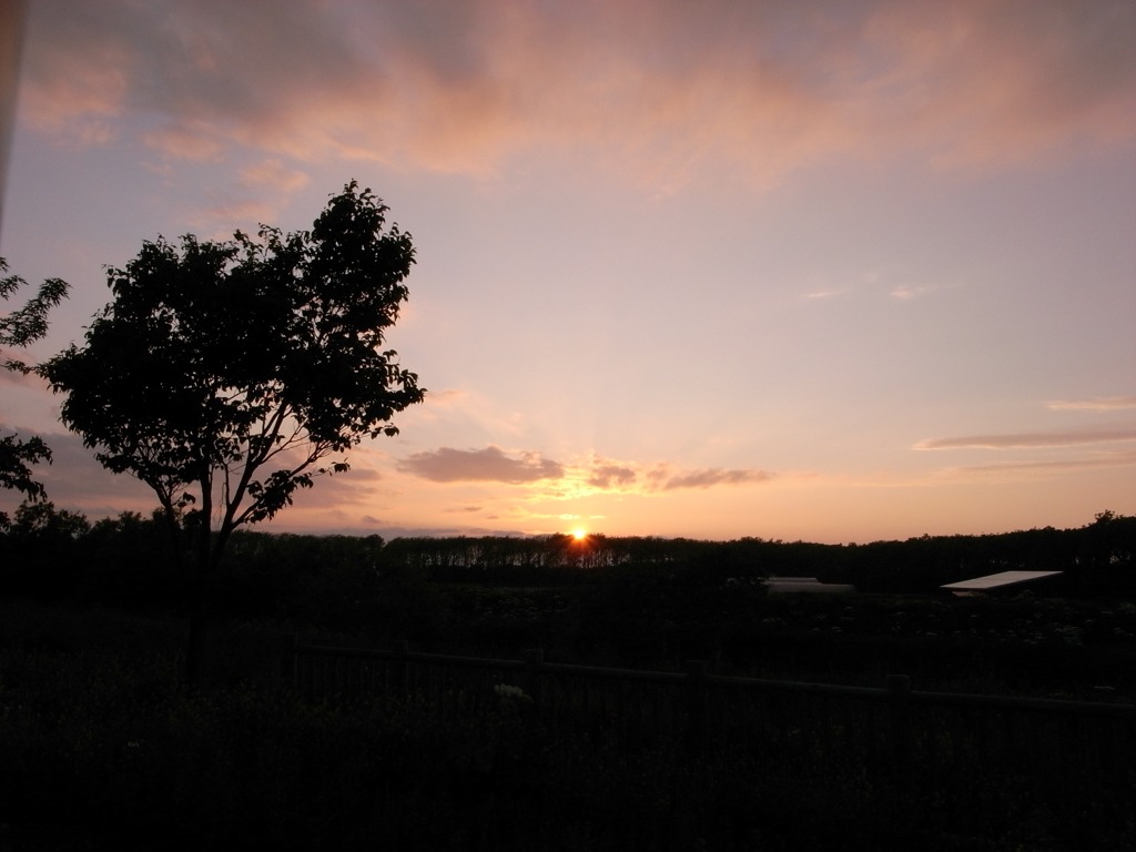 夕日