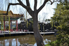 庭園＃01