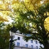 yokohama time