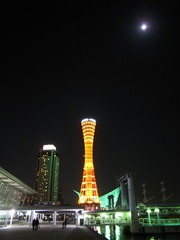 port tower under the moonlight