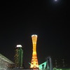 port tower under the moonlight