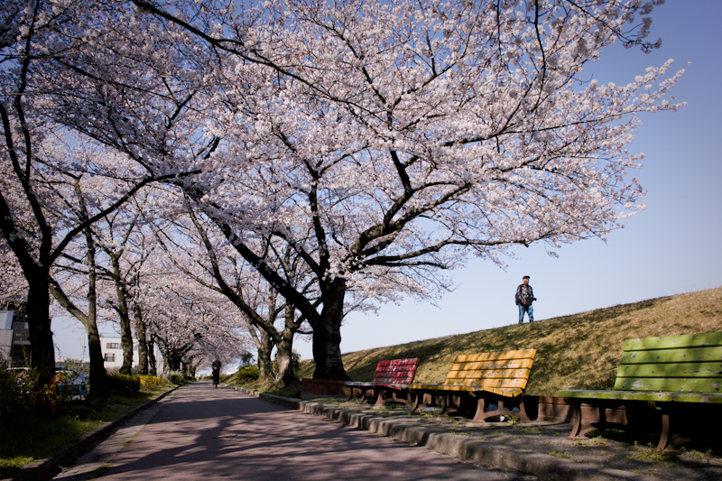20120408-SDIM3316