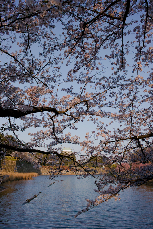 20120412-SDIM3334