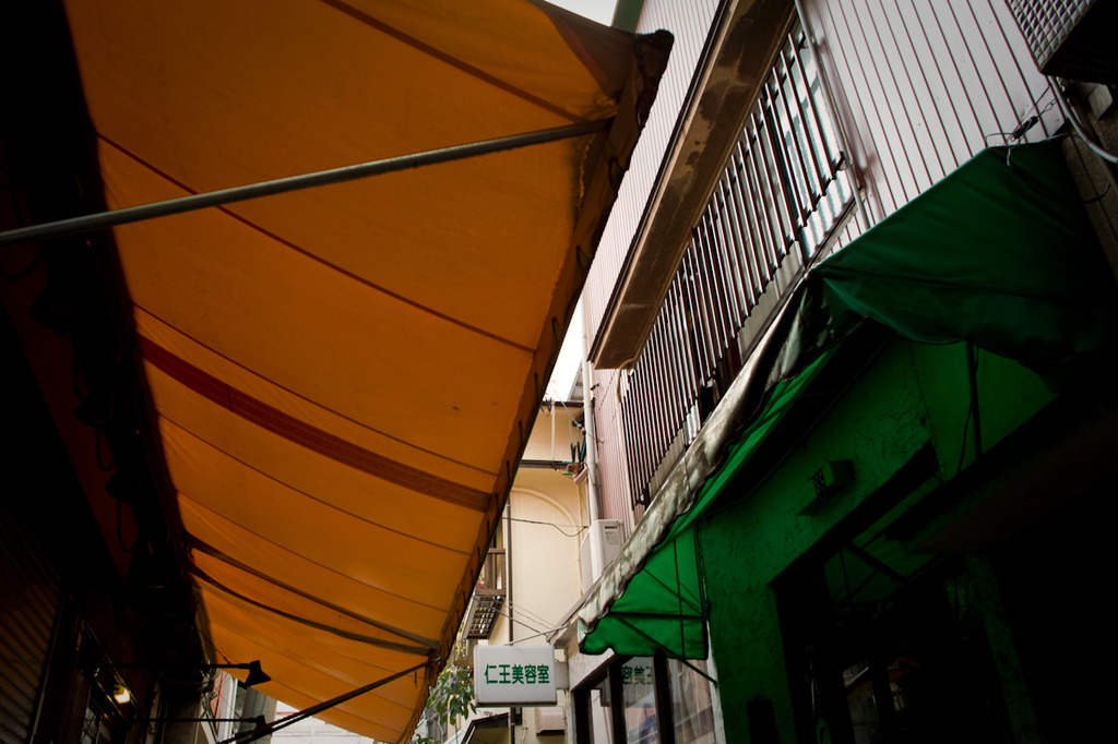 20090819-SDIM0921