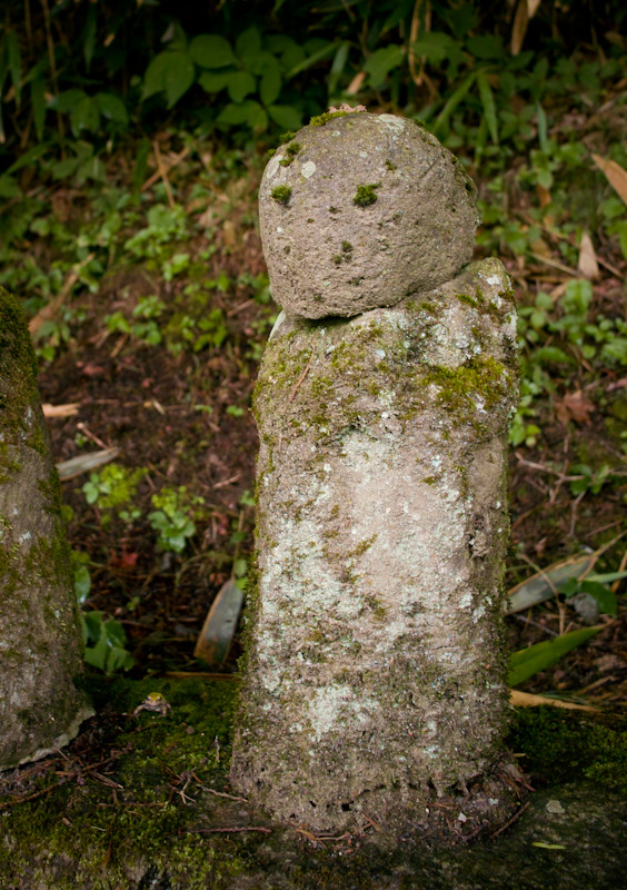 20110806-SDIM3012