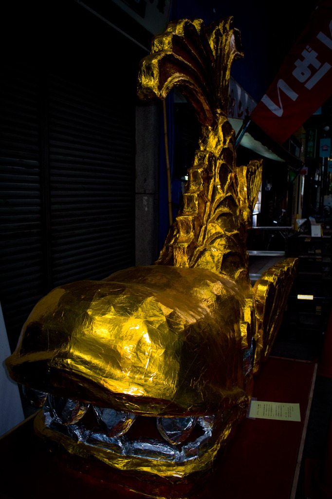 20091103-SDIM1090