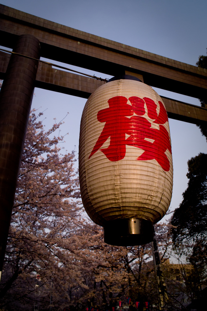 20100406-SDIM1293